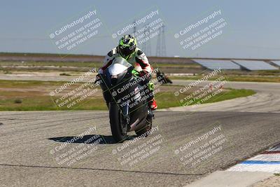 media/Mar-24-2025-2WTD (Mon) [[55b4b08488]]/A Group/12pm (Wheelie Bump)/